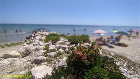 Galleria Foto Video Stay Cologna Spiaggia