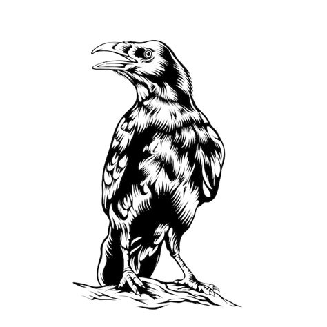 Premium Vector | A black and white drawing of a crow with a yellow beak.