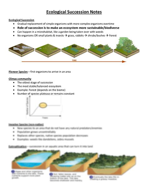 Solution Ecological Succession Notes Handout Studypool