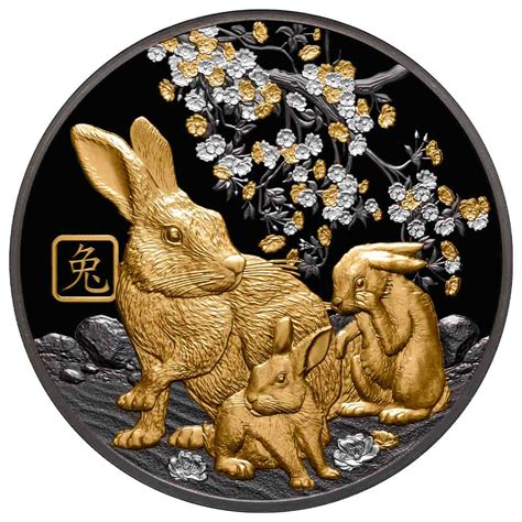 2023 Soloman Islands Lunar Rabbit 10 5oz Silver Black Proof Coin