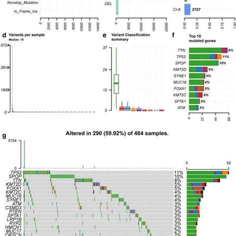 Overview Of Mutation Profile In Prostate Cancer Patients A Variant Download Scientific Diagram