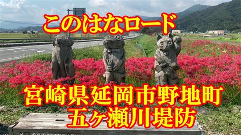 このはなロード 宮崎県延岡市野地町 五ヶ瀬川堤防 Youtube