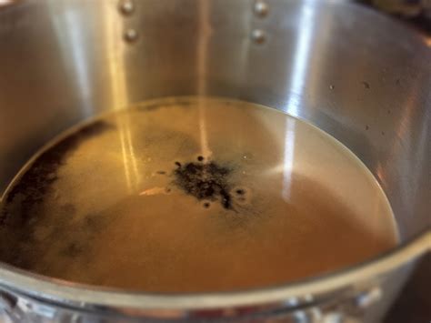 Shop Our Selection of Homebrewing Supplies and Equipment | Salem Brew