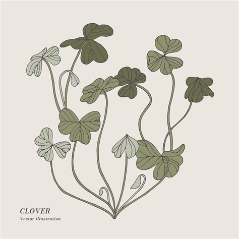 how to draw clover 4