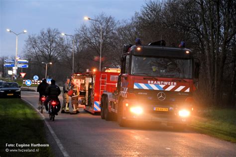 Onderzoek Naar Overleden Persoon Bosgebied Axel HVZeeland Nieuws En