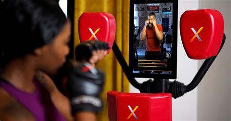 nexersys net worth 2024