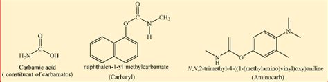 Chemical structures of some common carbamate pesticides | Download ...