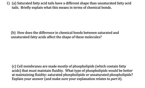 1 A Saturated Fatty Acid Tails Have A Different Shape Than Unsaturated