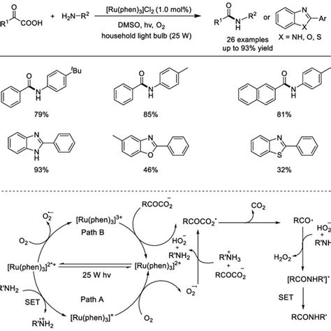 Scheme 13 Photoredox Ru Catalyzed Radical Decarboxylative Alkylation