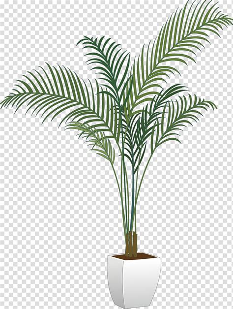 Potted Green Leafed Plant Painting Arecaceae Flowerpot Houseplant