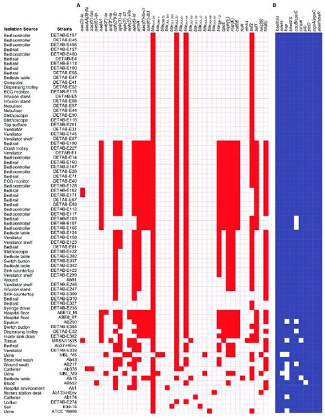 Genomic Analysis Of Antimicrobial Resistance Genes Args And Virulence