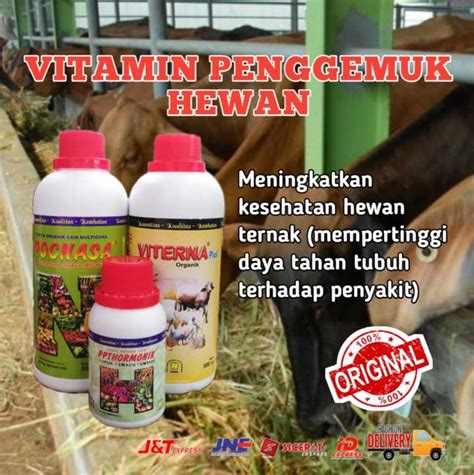 Viterna Nasa Hormonik Poc Nasa Paket Vitamin Ternak Untuk Penggemukan