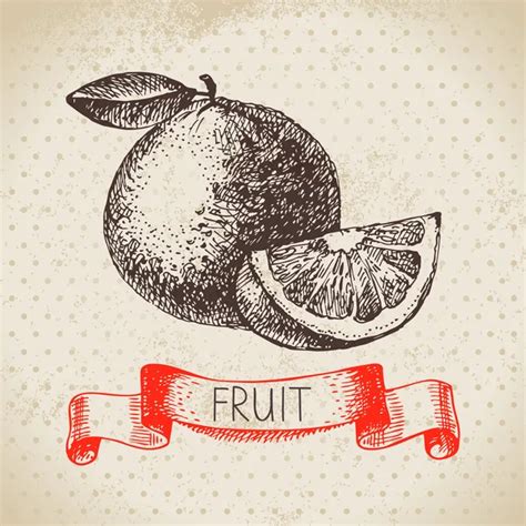 Hand Drawn Sketch Fruits Set Stock Illustration By Pimonova