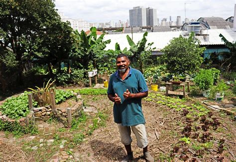 Na Penha SP coletivo transforma espaço ocioso em horta coletiva eCycle