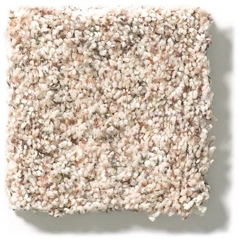 Anderson Tuftex Carmel Coast 00115 Birch Bark Nylon Carpet — Stone