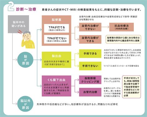 当院の脳卒中治療の流れ 広報誌「高松日赤だより なんがでっきょんな」 高松赤十字病院 日本赤十字社 香川県