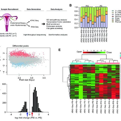 Landscape Of Genomic Chromatin Accessibility By Atac Seq A Flowchart