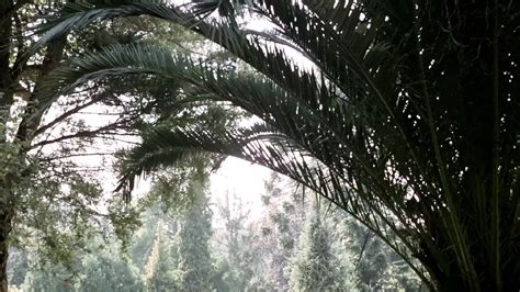 Porno Shock Remastered Retro Retro Porn XHamster