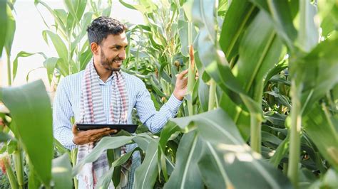 Innovative Tech Solutions For Transforming Indian Agriculture