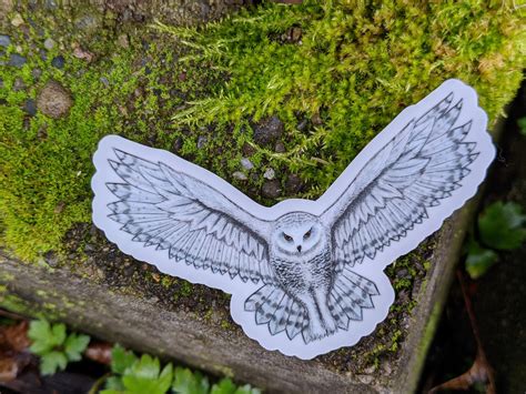 Snowy Owl Vinyl Sticker Etsy