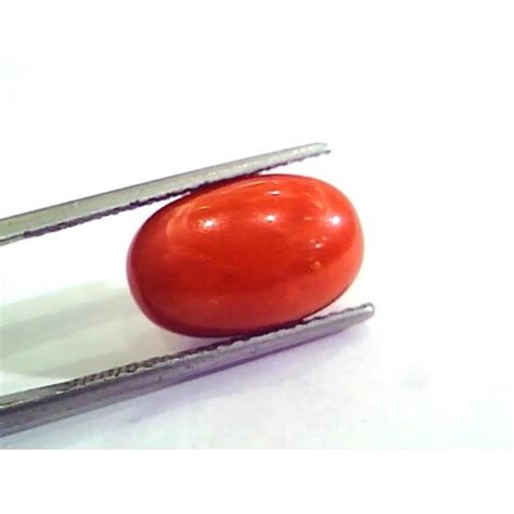 Ct Ratti Natural Italian Red Coral Moonga Gemstone Aaaa