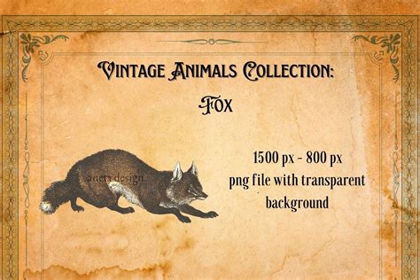 Vintage Fox Illustration Graphic by Aneta Design · Creative Fabrica