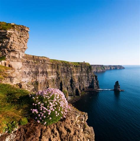 10 Best Fully Guided Tours in Ireland 2025/2026 - TourRadar