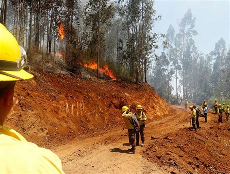 Decretaron Alerta Temprana Preventiva Para Las Provincias De Biobío Y Concepción Por