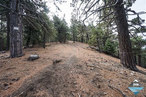 Hiking Tehachapi Mountain Trail - Trail to Peak