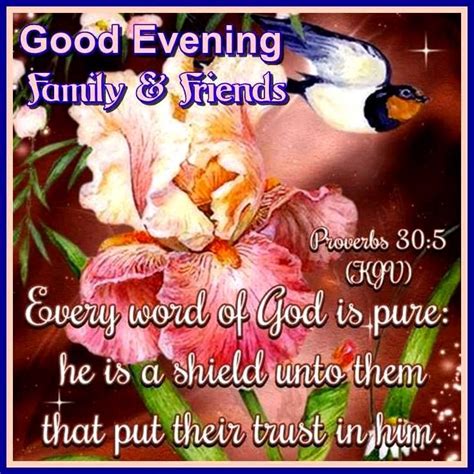 Good Evening Everyone Proverbs Bible Quotes Prayer Proverbs