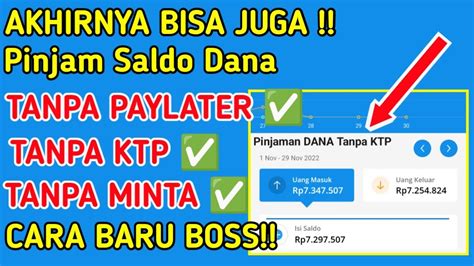 Berhasil Cair Cara Pinjam Uang Di Dana Tanpa Ktp Paylater Fitur