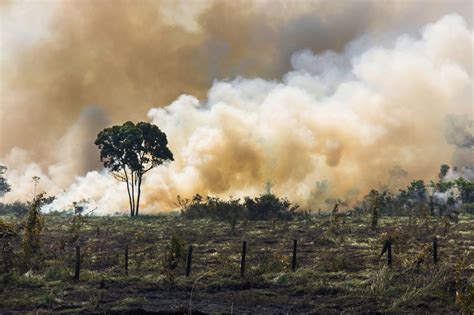 Ursachen des Klimawandels und Folgen für Deutschland Galileo