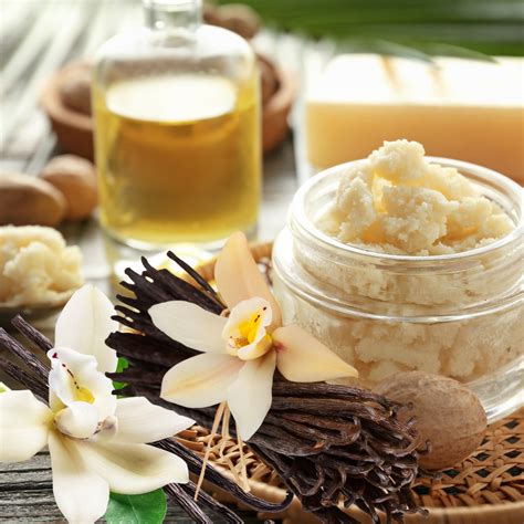 Shea Butter Warm Vanilla Fragrance Oil