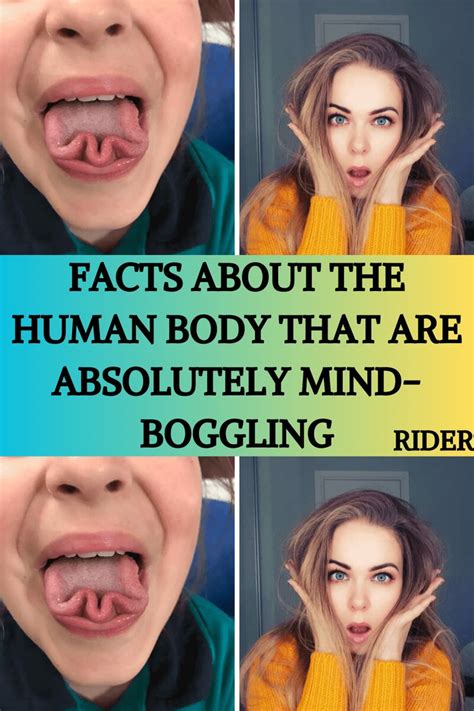 four pictures with the words, 50 + fact about the human body that are ...