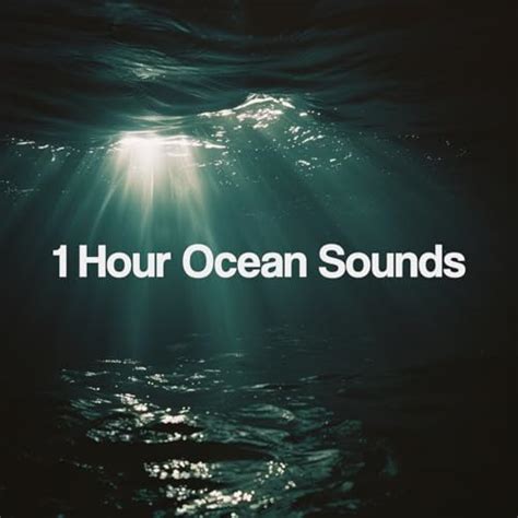 Amazon Music Ocean Sounds Hour Ocean Sounds Amazon Co Jp