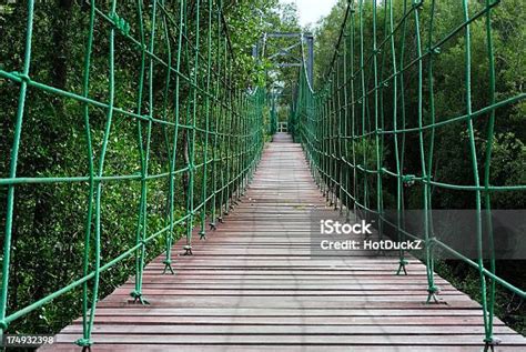 Green Suspension Bridge Stock Photo - Download Image Now ...