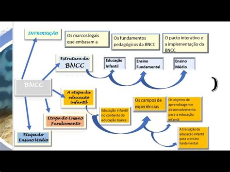 Mapa Mental Ensino Medio Mapa Garden The Best Porn Website