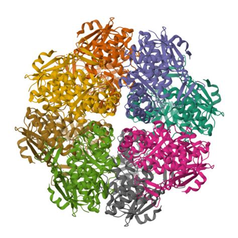 Rcsb Pdb H Z Crystal Structure Of Putative Isomerase From