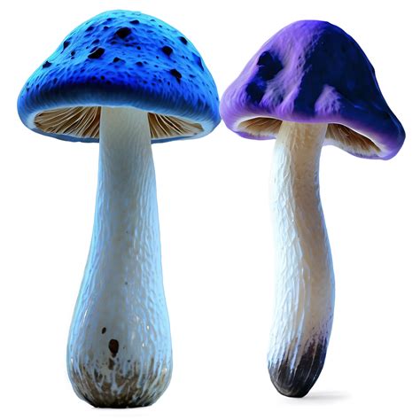 Download Poisonous Mushrooms Png 81