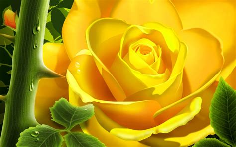 Yellow Bloom Wallpapers | HD Wallpapers | ID #5619