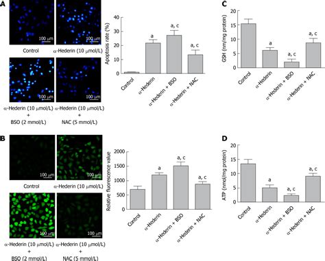 Figure From Mitochondrial Pathway Mediated By Reactive Oxygen Species