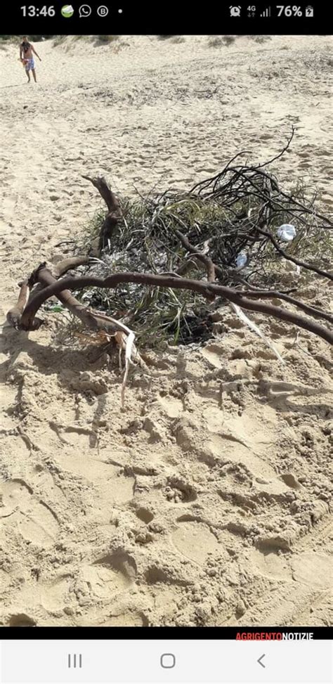 Fal Abusivi Di Ferragosto La Spiaggia Del Viale Delle Dune Si