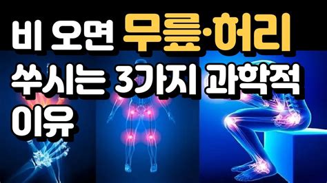 비 오면 무릎•허리 쑤시는 3가지 과학적 이유 Youtube