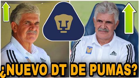 Bomba🔥¿tuca Ferreti Nuevo Dt De Pumas Llegaria A Pumas Refuerzos Pumas 2022 Youtube