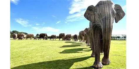 Herd Of Elephants Parade Around Newport ABC6