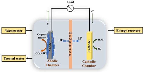 Schematic Of A Microbial Fuel Cell Download Scientific Diagram