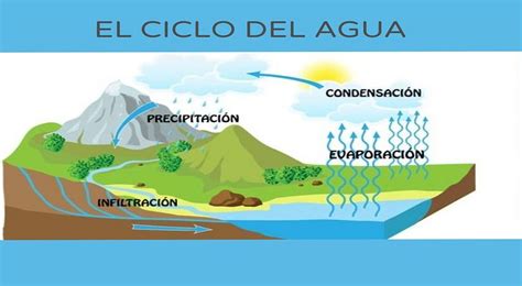 ecuación leopardo Intolerable etapas del ciclo del agua Una oración ...