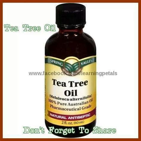 Uses For Tea Tree Oil Tea Tree Oil Tea Tree Oil Benefits Tea