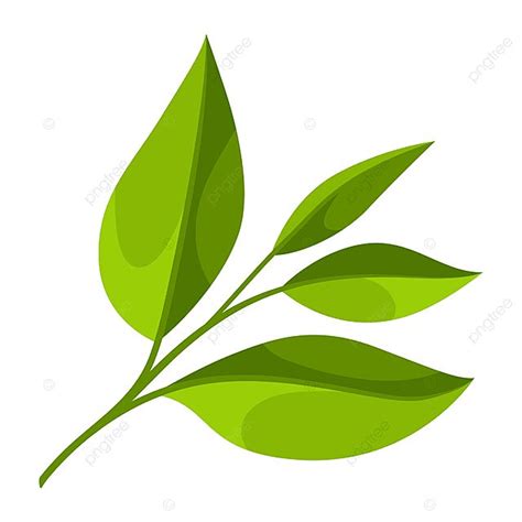 Green Tea Leaf Vector Art PNG, Illustration Of Tea Leaf, Natural, Eat ...