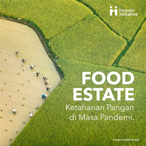 Food Estate Program Ketahanan Pangan Yang Sukses Di Masa Pandemi